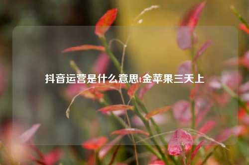 抖音运营是什么意思t金苹果三天上