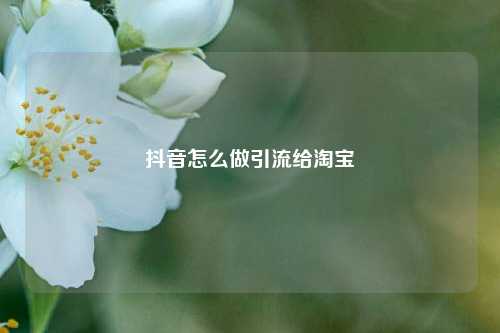 抖音怎么做引流给淘宝