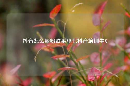 抖音怎么涨粉联系小七抖音培训牛X