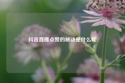 抖音直播点赞的秘诀是什么呢