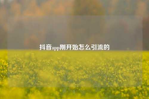 抖音app刚开始怎么引流的