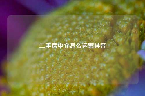 二手房中介怎么运营抖音