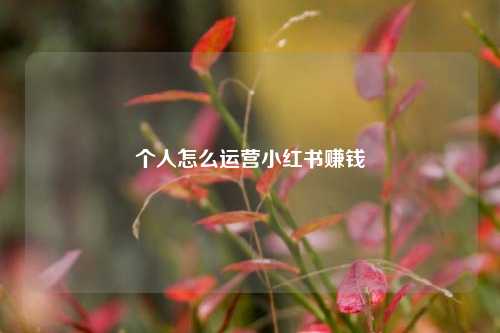 个人怎么运营小红书赚钱