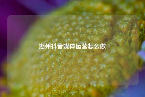 湖州抖音媒体运营怎么做