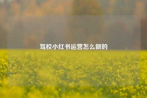 驾校小红书运营怎么做的