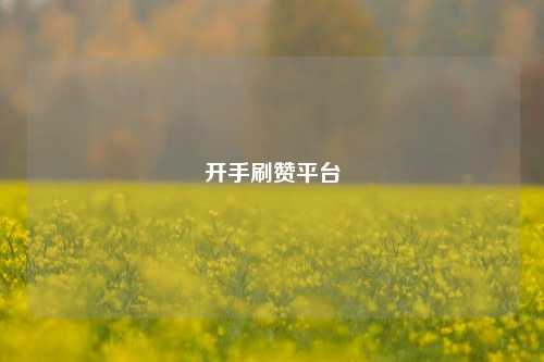 开手刷赞平台
