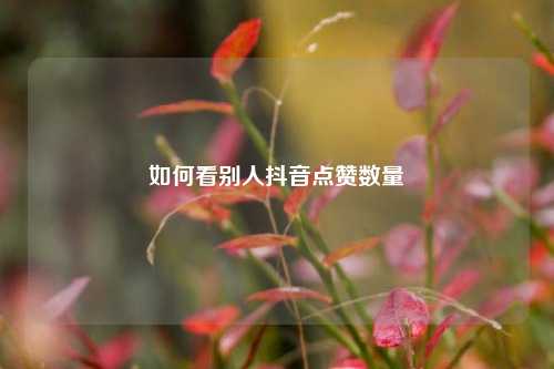 如何看别人抖音点赞数量