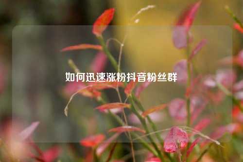 如何迅速涨粉抖音粉丝群