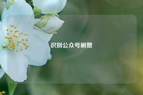 识别公众号刷赞