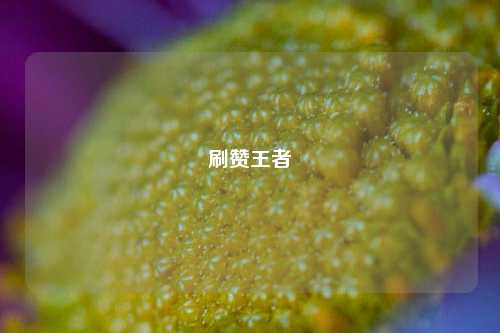 刷赞王者