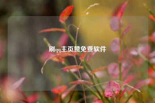 刷qq主页赞免费软件