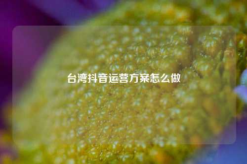 台湾抖音运营方案怎么做