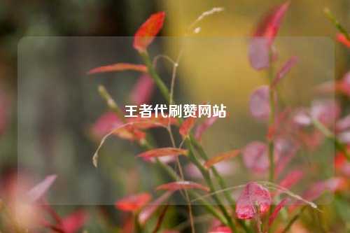 王者代刷赞网站