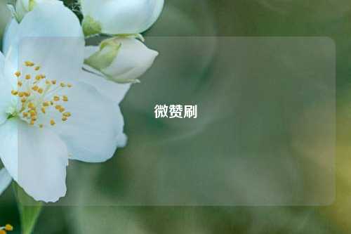 微赞刷