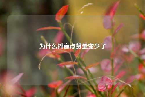为什么抖音点赞量变少了