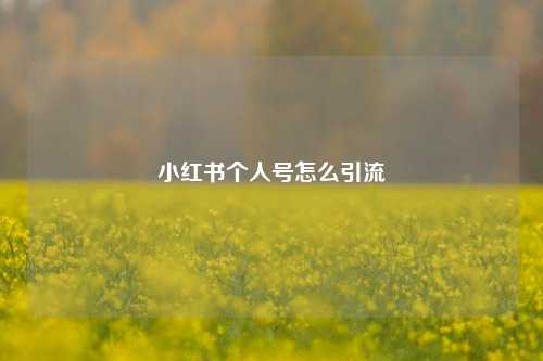 小红书个人号怎么引流