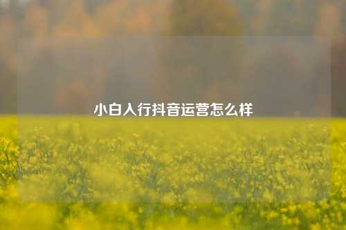 小白入行抖音运营怎么样